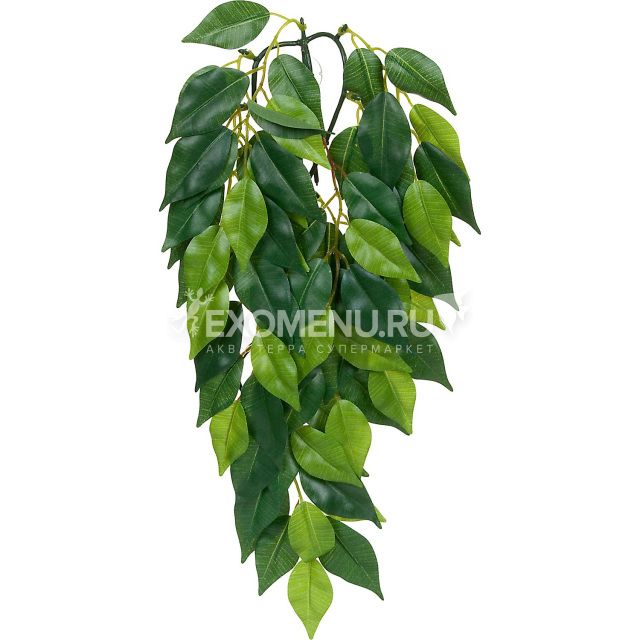 Тропическое растение Jungle Plants Фикус, большое, 70х20 см