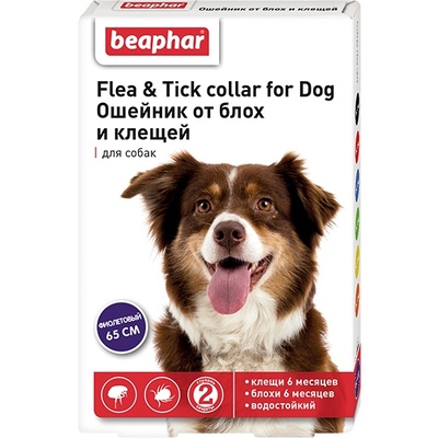Beaphar ошейник от блох и клещей для собак, фиолетовый, 65 см, Flea & Tick Collar