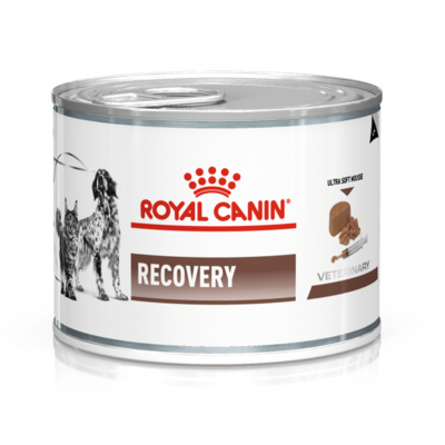 Royal Canin (вет. консервы) паштет для животных при анорексии и в период восстановления, Recovery