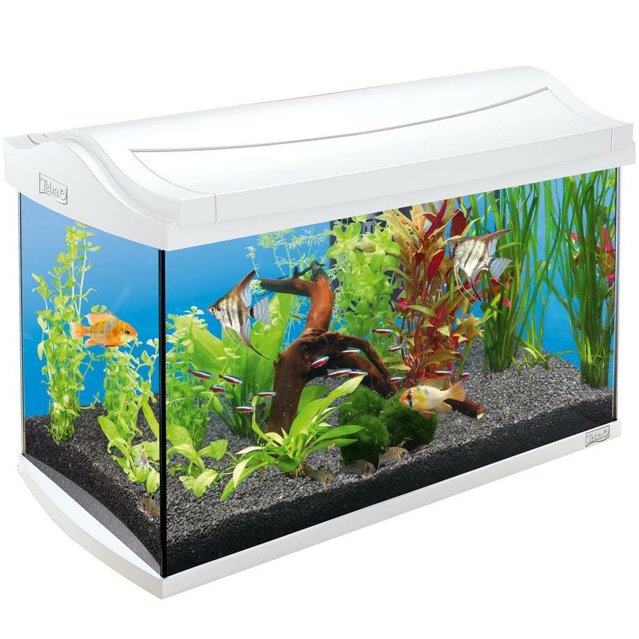 Tetra AquaArt Discover Line аквариумный комплекс  60 л белый