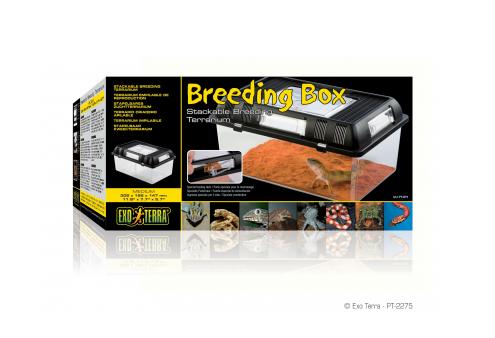 Контейнер для разведения Breeding Box средний (302 х 196 х 147 мм)