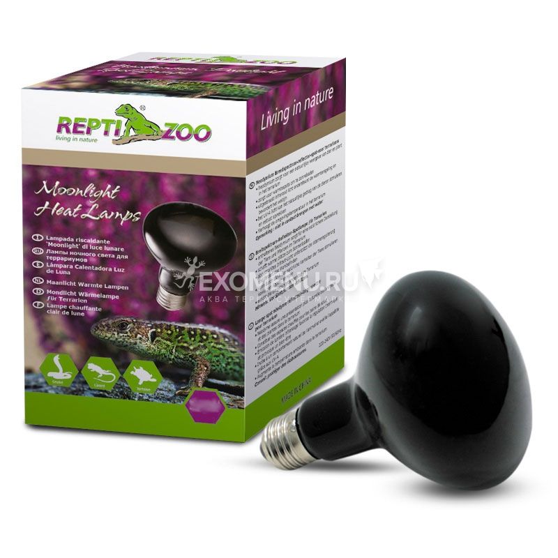 Лампа ночная D80100 ReptiNightglow, 100Вт, Repti-Zoo