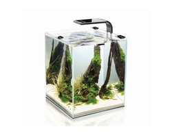 Креветкарий