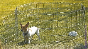 Savic «Dog Park 1» вольер для собак