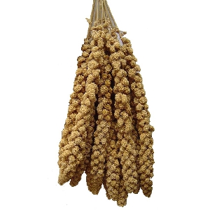 VERSELE-LAGA Millet просо в колосьях 300 г