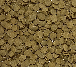 Sera Wels-chips чипсы для сомиков со ртом-присоской, фото №2