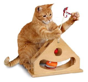 Pioneer Pet Интерактивная игрушка Tick Tock Teaser 30х22х10см арт 16010, фото №2