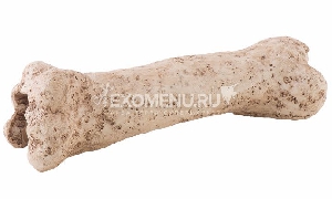 Убежище-декор кость динозавра