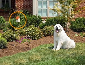 PetSafe антилай уличный Скворечник, фото №2