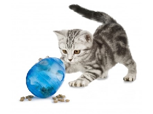PetSafe Игрушка Funkitty™ Egg-Cersizer™, фото №3