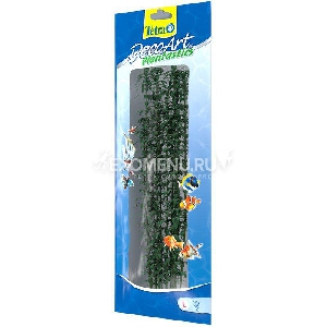 Растение аквариумное Hygrophila 3 (L)  30см.  607033