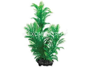 Растение аквариумное Green Cabomba (S) 15 см с утяжелителем