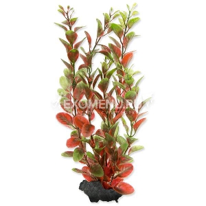 Растение аквариумное Red Ludvigia (M) 23 см с утяжелителем