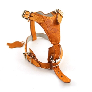ЗООМАСТЕР 601545 Шлейка, 15*45
