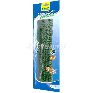 Растение аквариумное Anacharis 3 (L)  30см.  607002