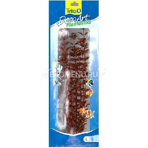 Растение аквариумное Red Ludwigia 3 (L)  30см.  606661
