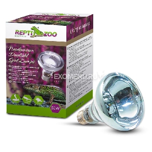 Лампа дневная B80100 ReptiDay, 100Вт, Repti-Zoo