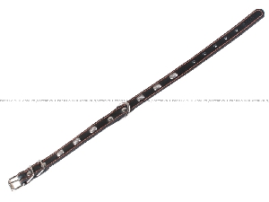 Collar одинарный черный ошейник с украшением для собак