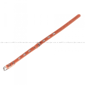 Collar одинарный ошейник коричневого цвета для собак