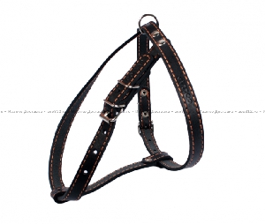Collar одинарная шлейка для собак мелких пород