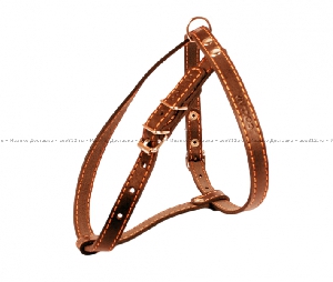 Collar одинарная шлейка для собак мелких и средних пород