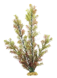 ArtUniq Rotala indica 60 - Искусственное растение Ротала индийская, 60 см