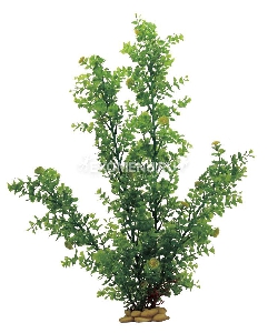 ArtUniq Hydrocotyle tripartita 60 - Искусственное растение Кариота, 60 см