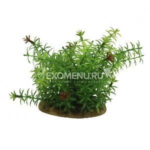 ArtUniq Elodea 15 - Искусственное растение Элодея, 15 см