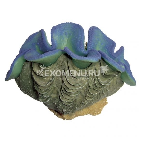 ArtUniq Blue Clam - Декоративная композиция 