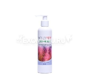 AQUAYER Удо Ермолаева ЖЕЛЕЗО+ 250 mL