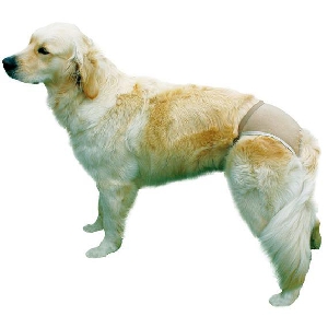Штанишки 