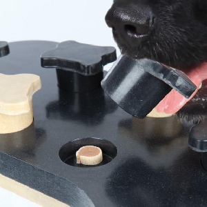 Game Bone, фото №3 Game Bone, фото №3
