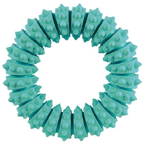 Кольцо Denta Fun с запахом мяты