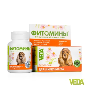 ФИТОМИНЫ для иммунитета для собак 100 табл