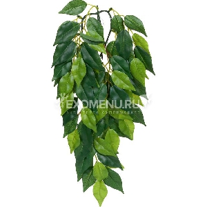 Тропическое растение Jungle Plants Фикус, большое, 70х20 см