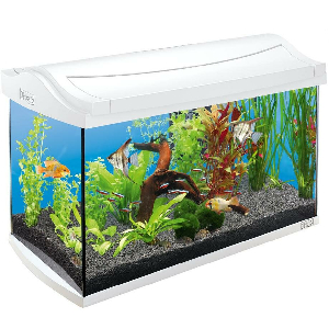 Tetra AquaArt Discover Line аквариумный комплекс  60 л белый