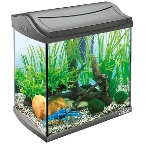 Tetra AquaArt Crayfish Discover Line аквариумный комплекс  30 л
