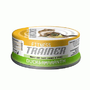 Trainer Fitness Adult утка амарант